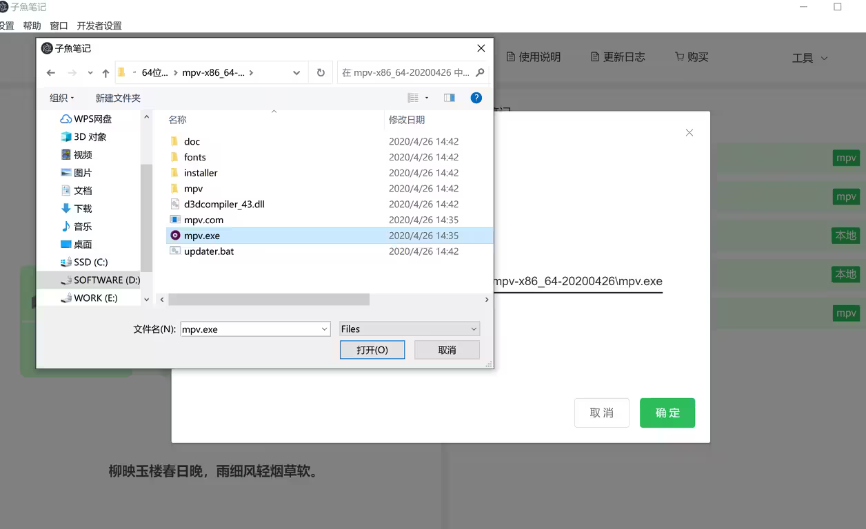 video1